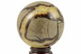Polished Septarian Sphere - Madagascar #203653-1